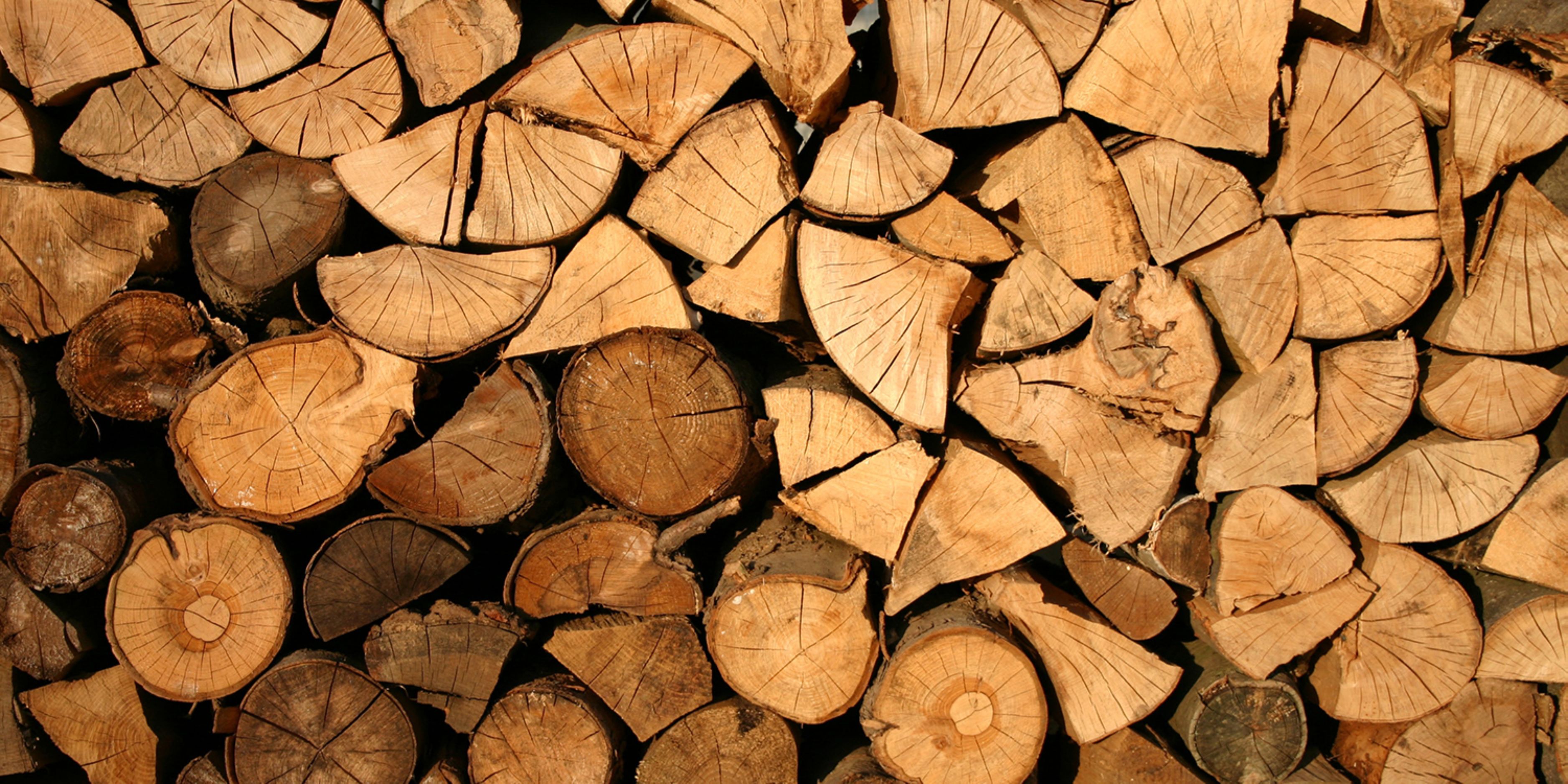 Stacked firewood logs cross section