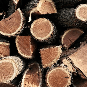 Premium firewood logs